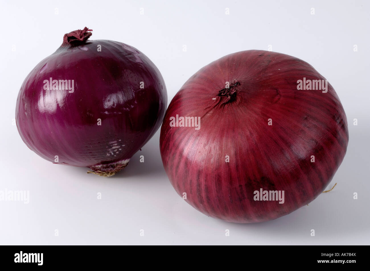 Cipolla Foto Stock