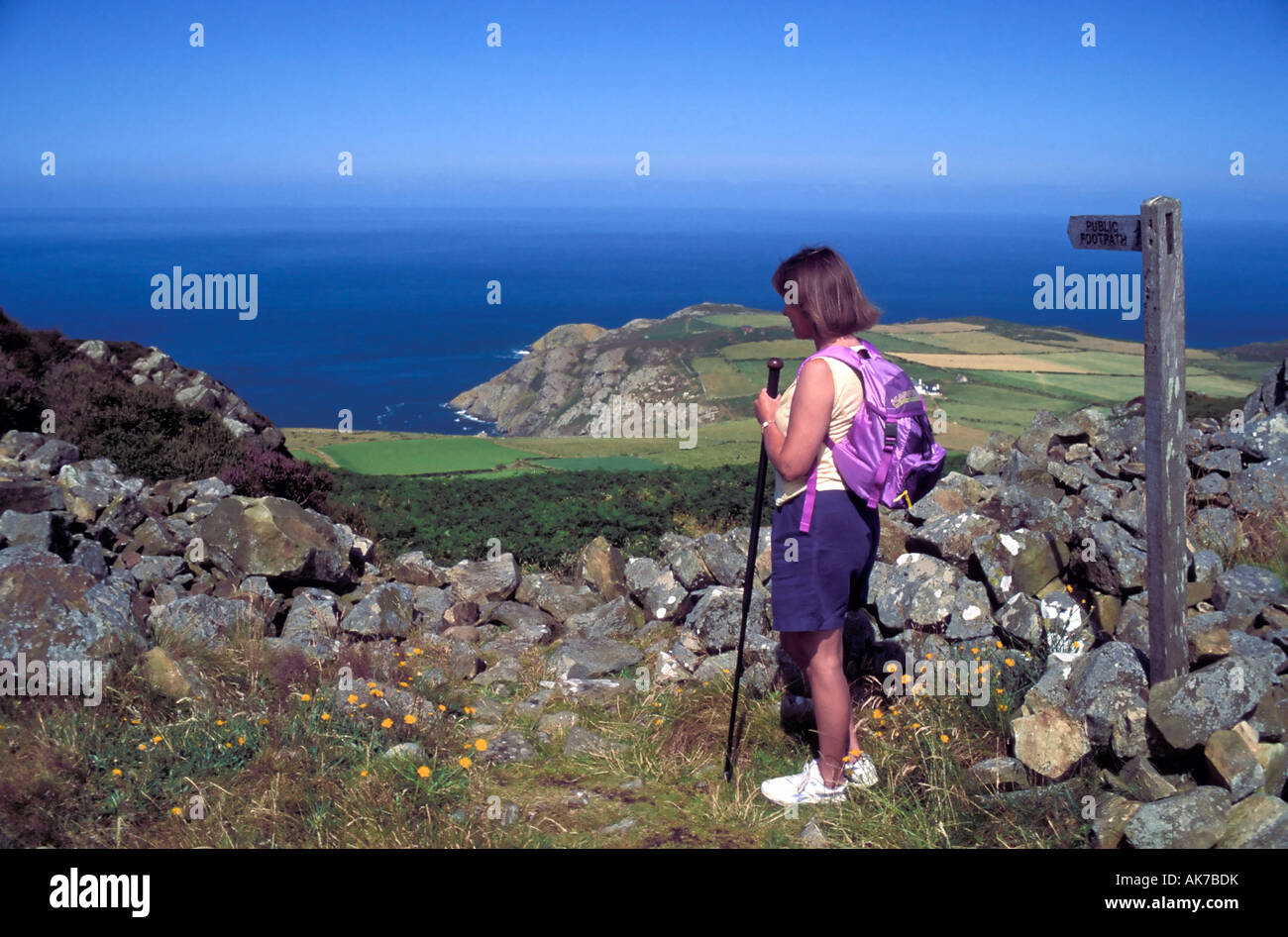 Femmina viste dello scuotipaglia si affaccia al mare che è il 'St Georges canale ' a 'Strumble testa' nel Galles del Sud Foto Stock