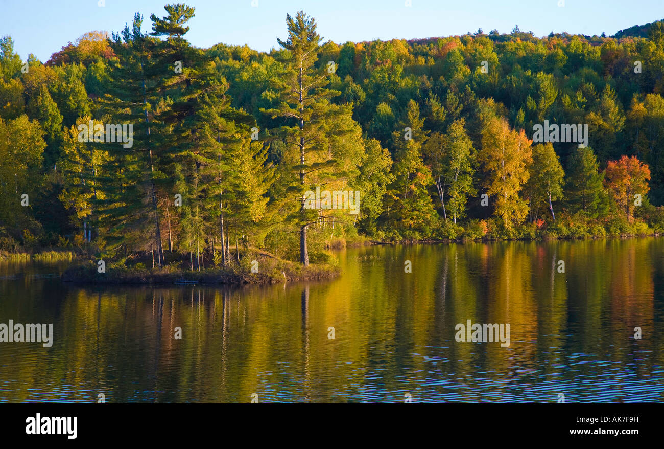Tranquilla e pacifica in scena Algonquin Park con il lago e riflettendo gli alberi in autunno Foto Stock