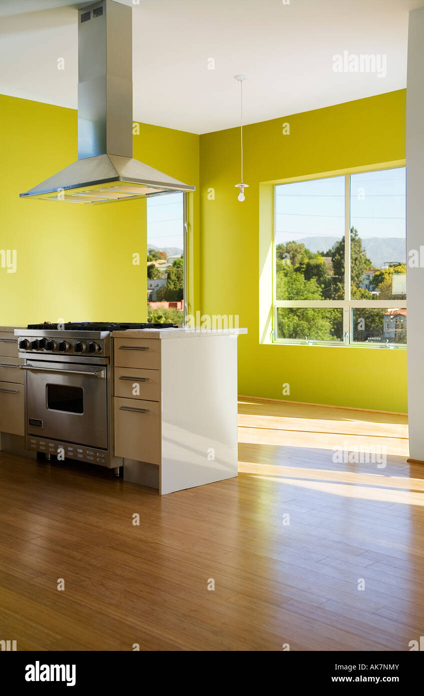 Moderna in acciaio inox cucina con pareti di colore verde Foto stock - Alamy