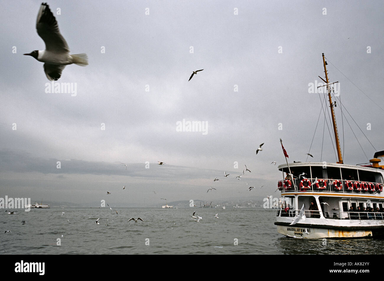 Alimentazione di passeggeri a Flock of Seagulls fuori del traghetto al Golden Horn su Istanbul lato Sultanahmed Foto Stock