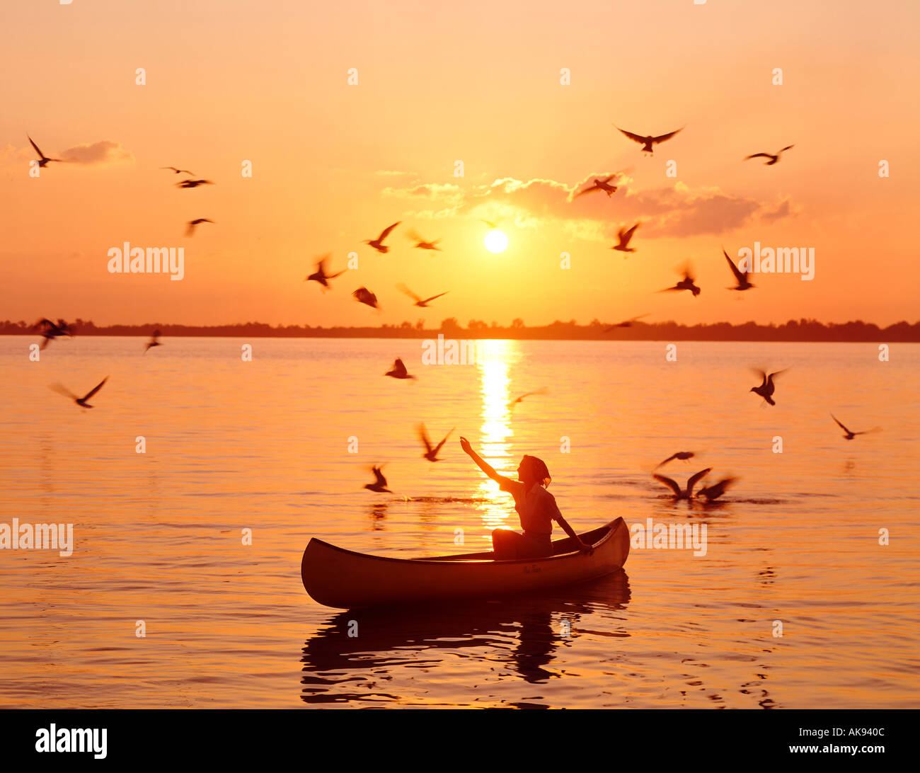 Giovane donna alimentazione di uccelli di canoa in Florida il lago al tramonto Foto Stock