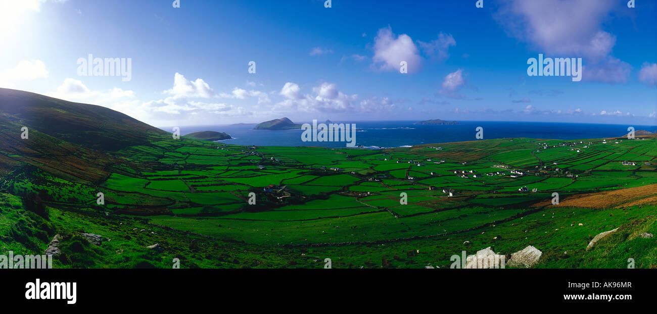 Isole Blasket & Dunquin, penisola di Dingle, Co. Kerry, Irlanda Foto Stock