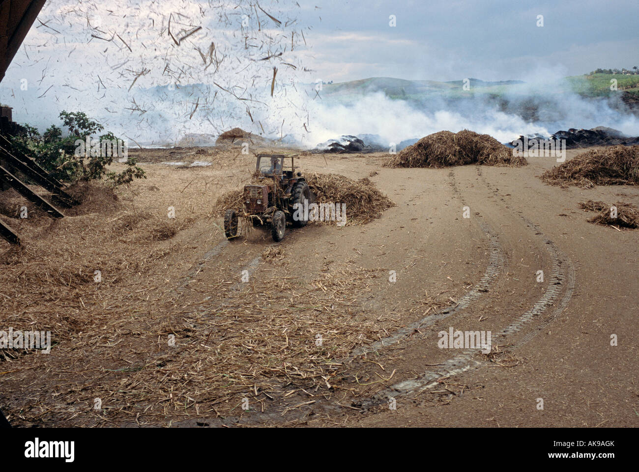 Il trattore che trasportano la canna da zucchero sbuccia per essere bruciato in un mulino per lo zucchero in Julio Reyes della provincia di Matanzas Cuba Foto Stock