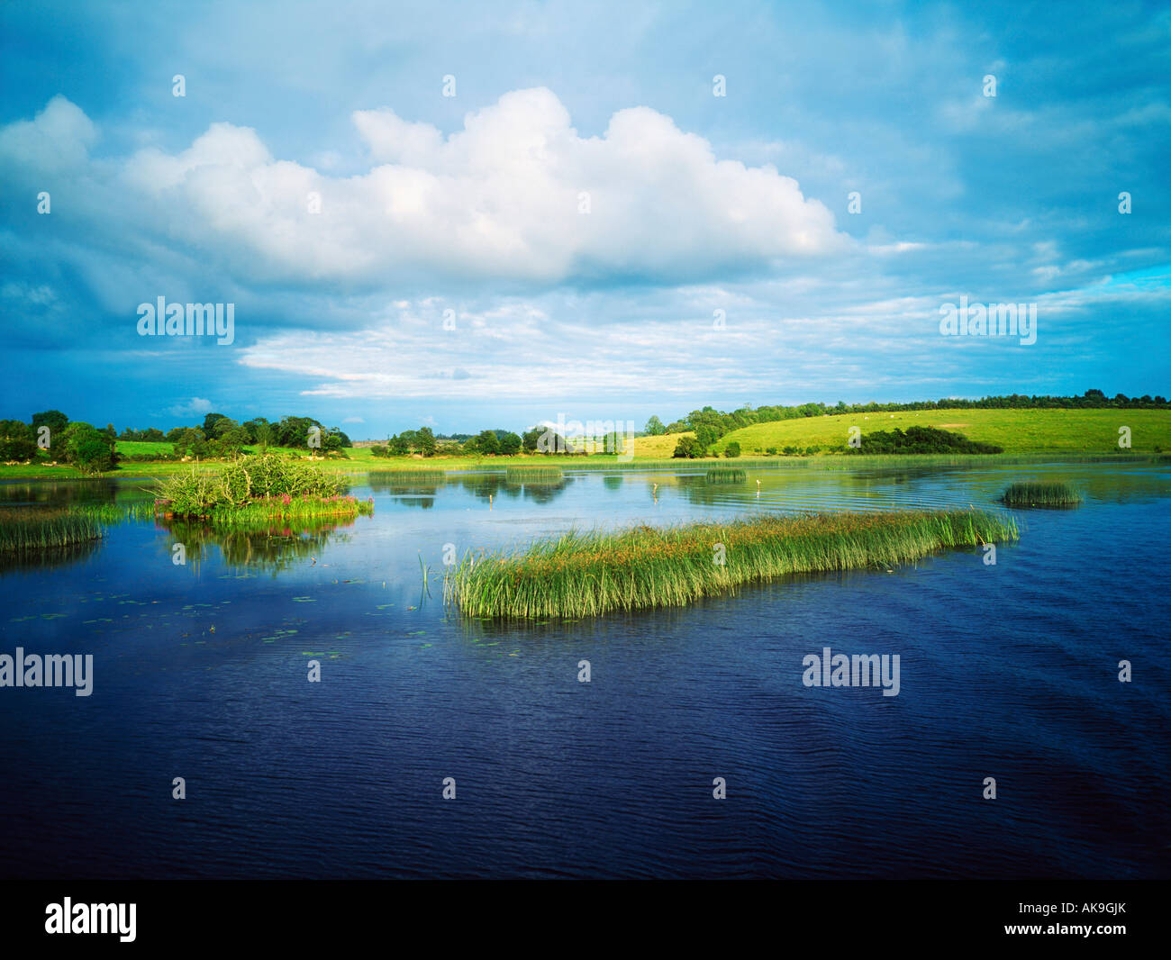 Lough Ballymagauran, Shannon-Erne fluviale, nella contea di Cavan, Irlanda Foto Stock