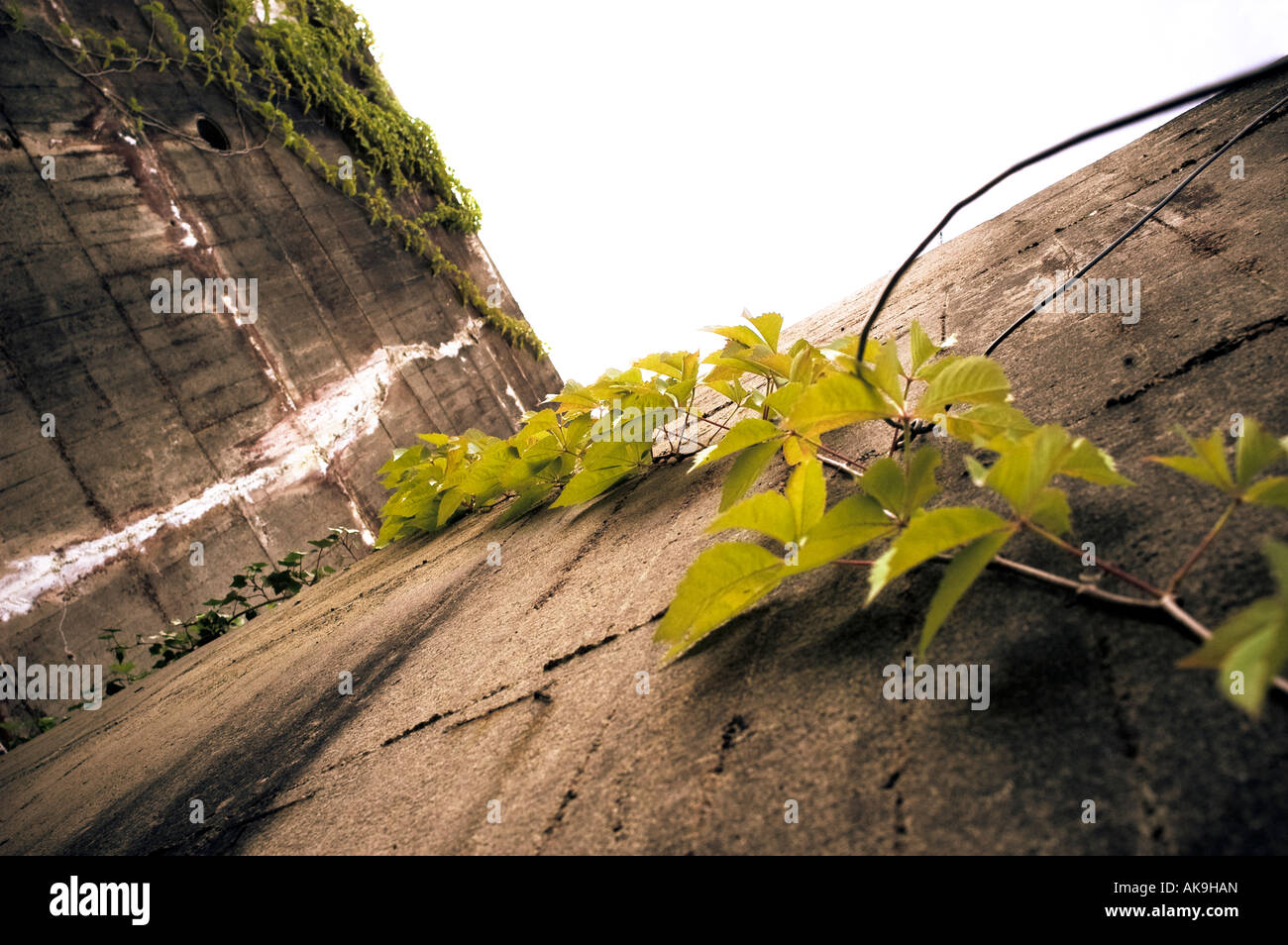 Bunker (WW II era) Foto Stock