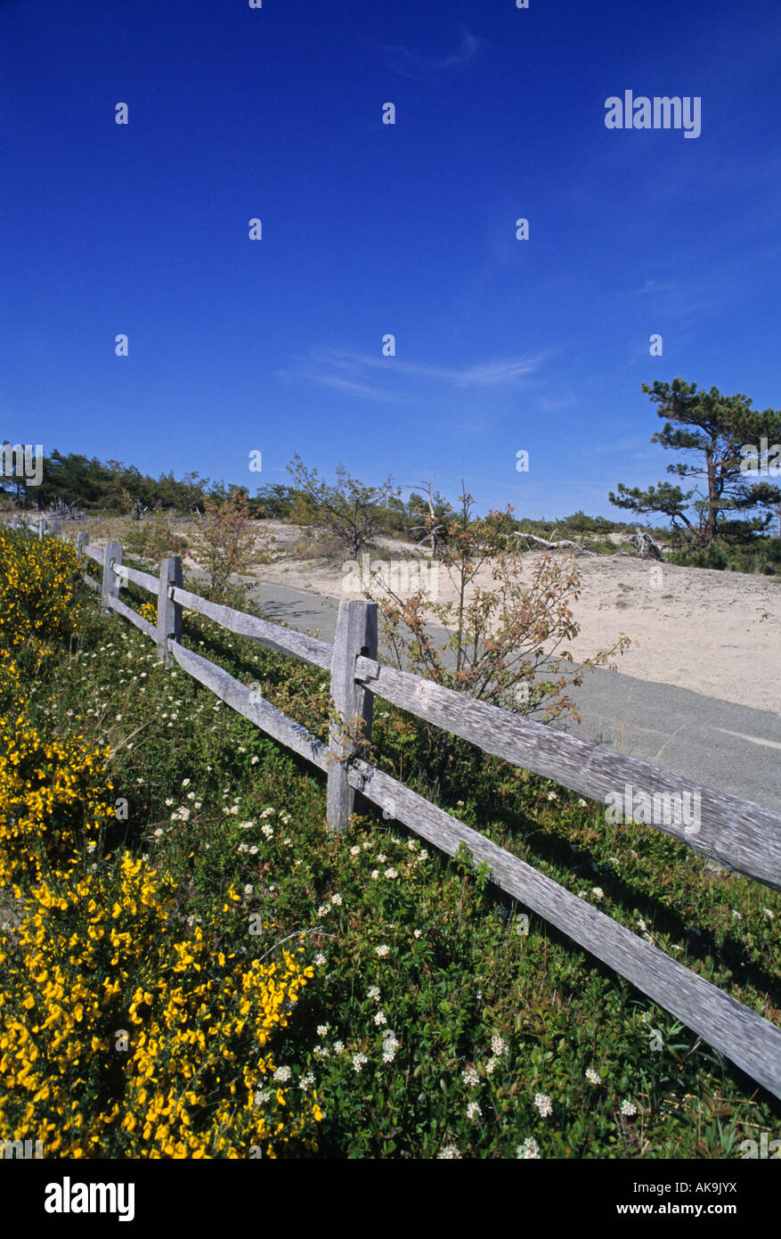 A Provincetown Parco Nazionale Massachusetts Stati Uniti Foto Stock