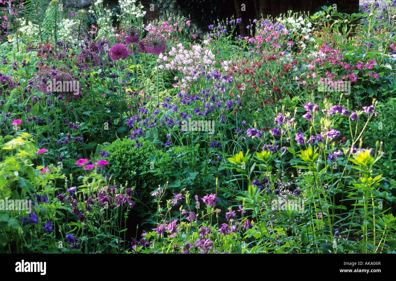 Giardinieri Cottage West Dean Sussex semi giardino ombreggiato con Aquilegias e Alliums Foto Stock