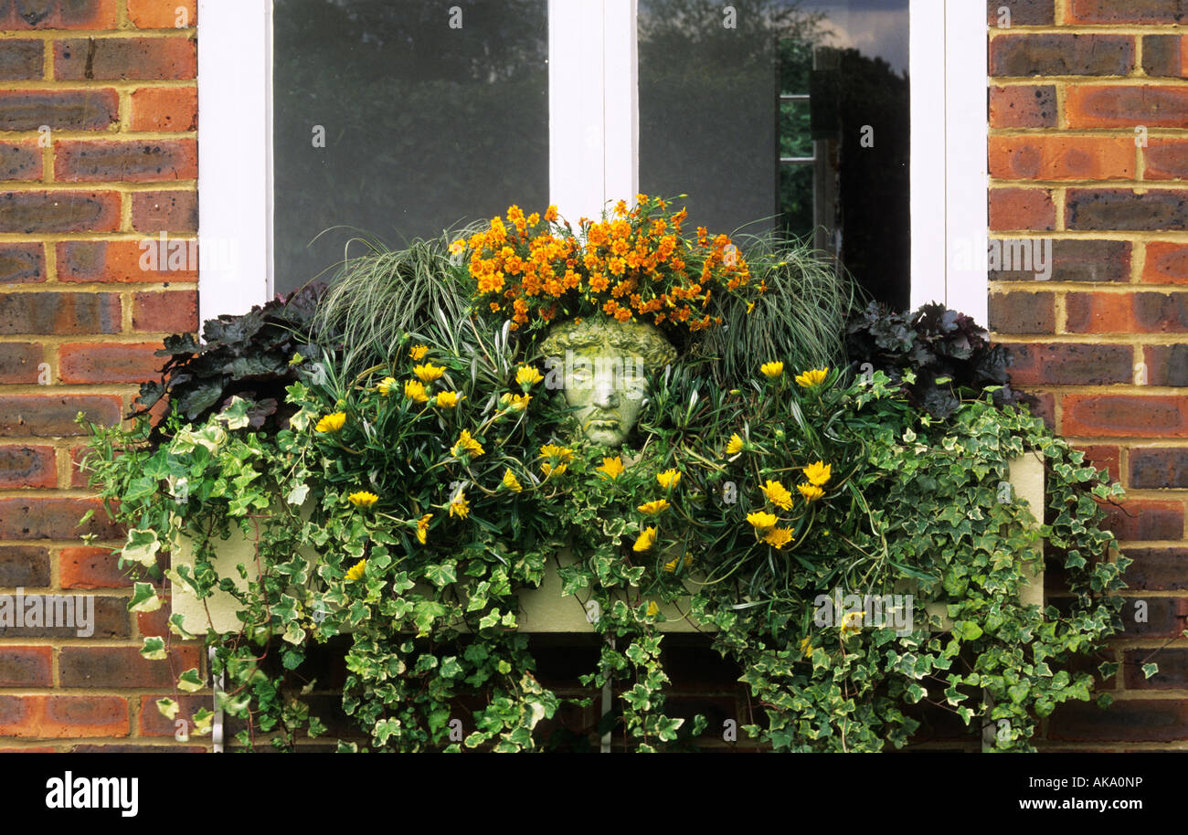 Insolita estate fiore windowbox con testa di Davide contenitore Tagetes Tangerine Gem Carex Snowline Heuchera Palace Purple Gazania Foto Stock