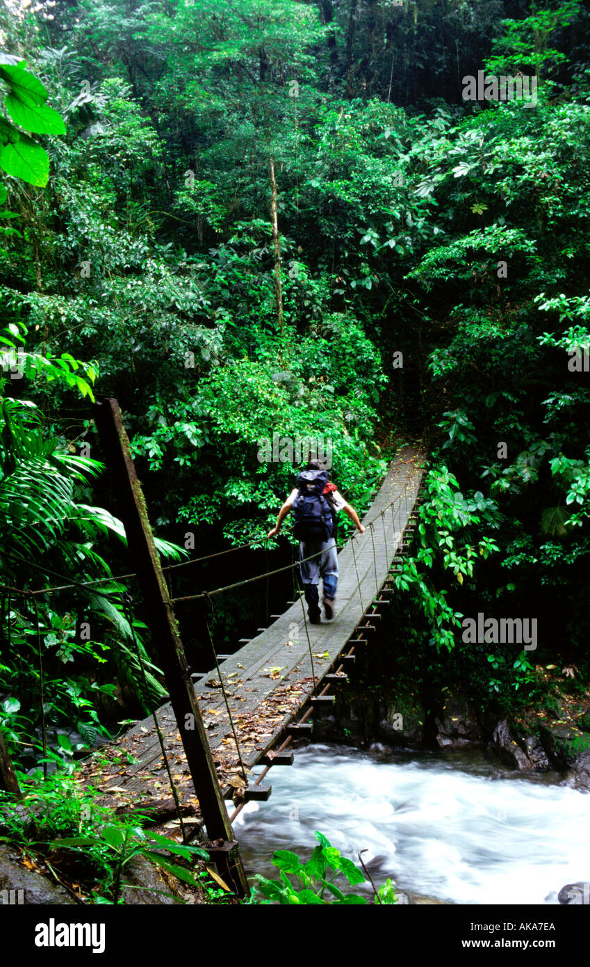 Trekker attraversando un ponte di sospensione. Monteverde Cloud Forest Preserve. Costa Rica Foto Stock