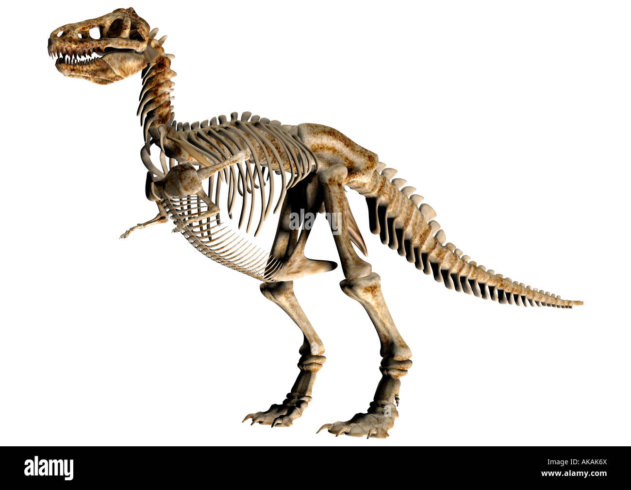 Scheletro di dinosauro Dinosaurier Skelett Foto Stock