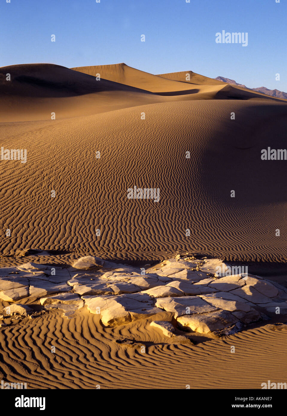 Le dune di sabbia in Death Valley California degli Stati Uniti America Foto Stock