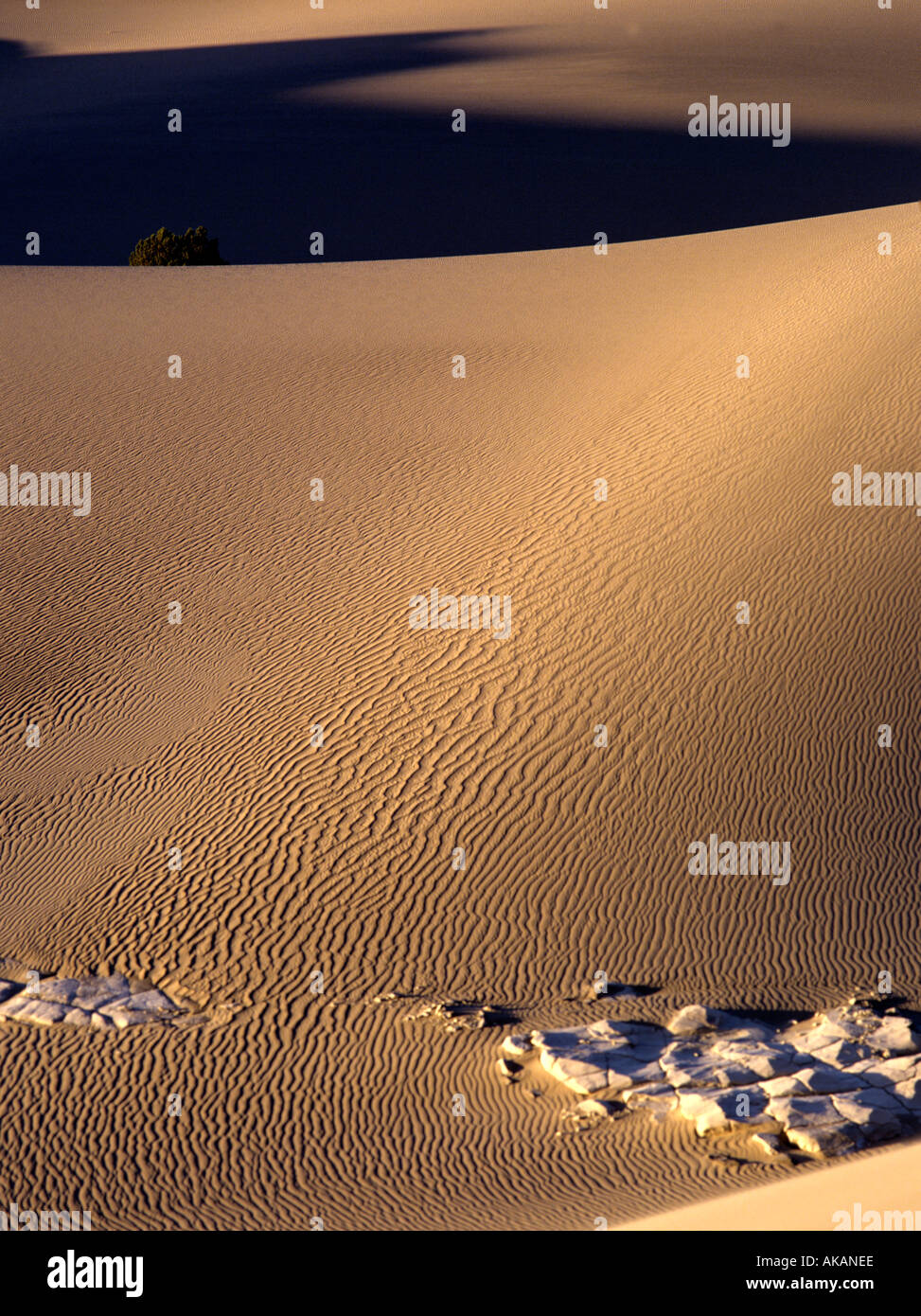 Dune di sabbia Death Valley California Stati Uniti Foto Stock