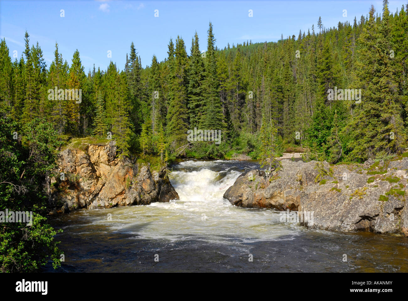 Rancheria cade Recreation Site lungo Alaska Highway ALCAN Al può Yukon Territory Canada Foto Stock