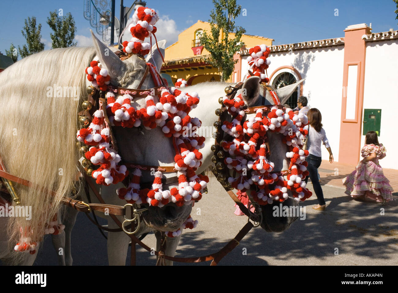 Marbella Costa del Sol Malaga Provincia Spagna cavalli a feria con decorate tack Foto Stock