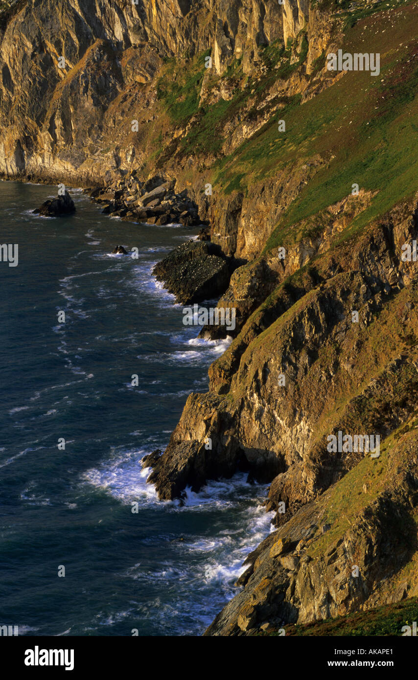 Scogliere di mare, North Stack, Holy Island, Anglesey, Galles, REGNO UNITO Foto Stock