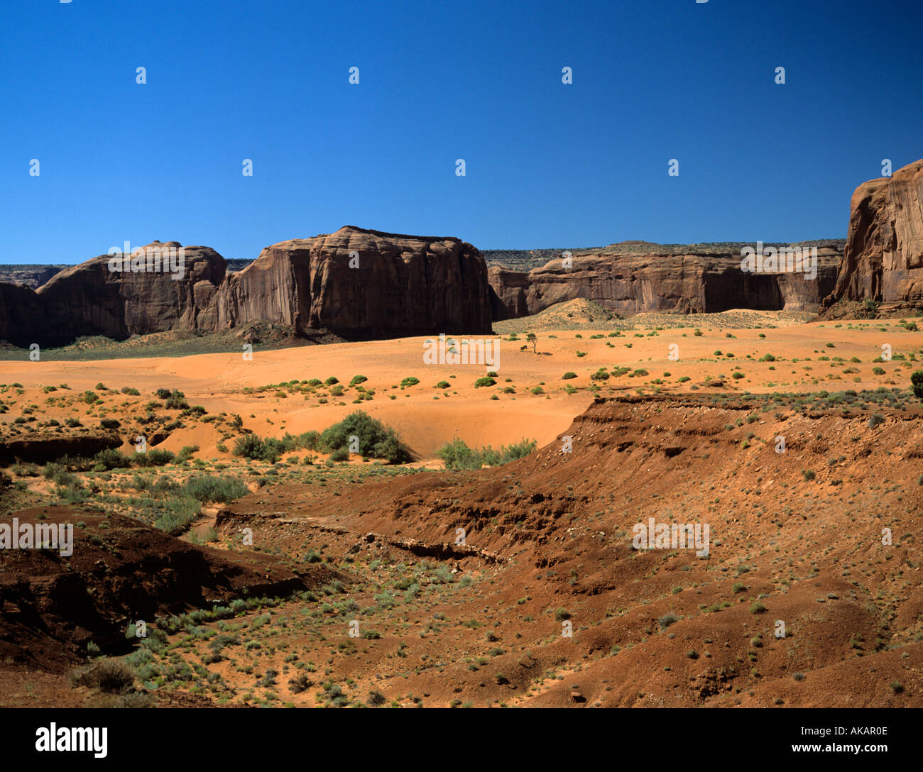 Il Monument Valley Navajo Tribal Park Arizona USA Foto Stock