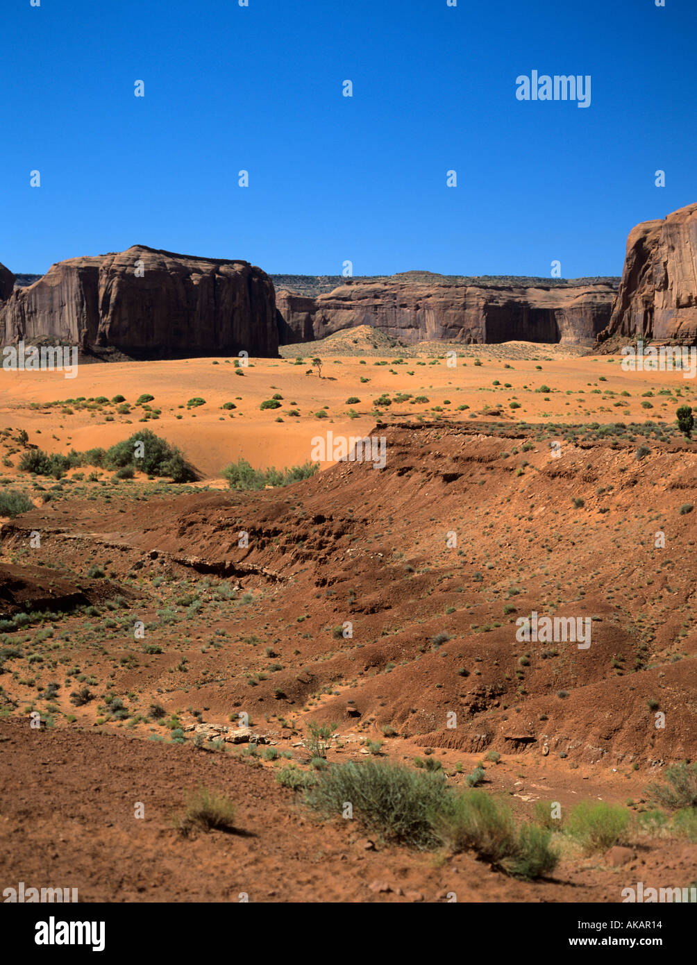 USA il parco tribale Navajo Monument Valley Arizona Foto Stock