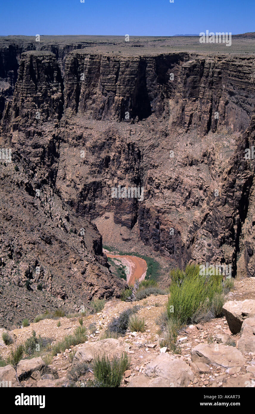 Una gola che è parte di una serie di canyon vicino al Grand Canyon che mostra il Fiume Colorado al di sotto di Foto Stock