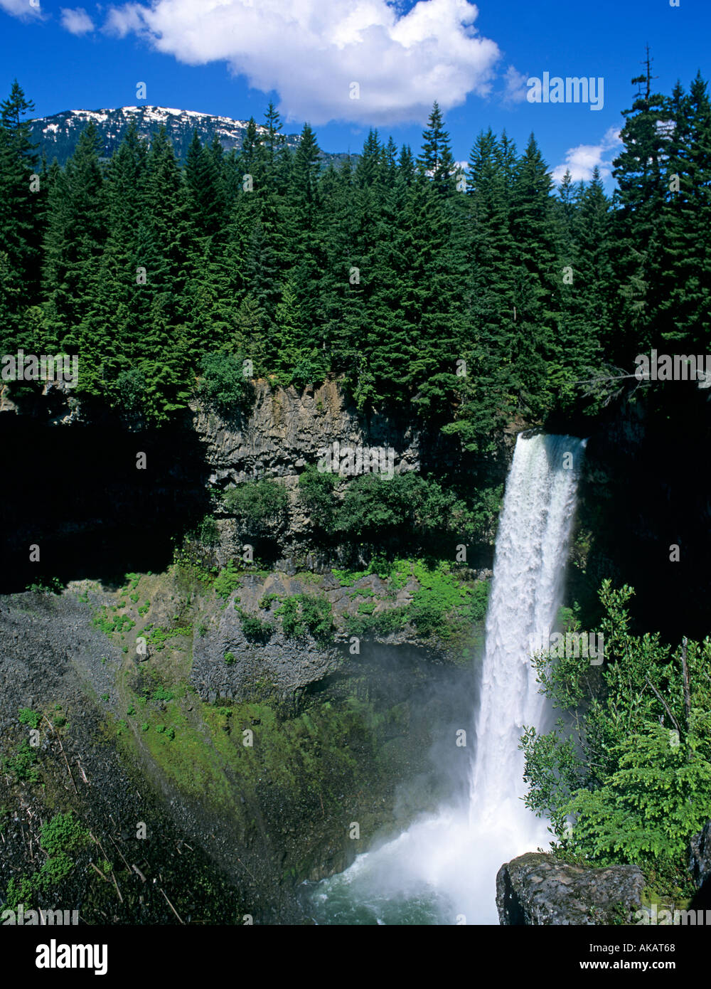 Potente cascata in pineta con Snow capped picco di montagna in background Canada Columbia Britannica Foto Stock