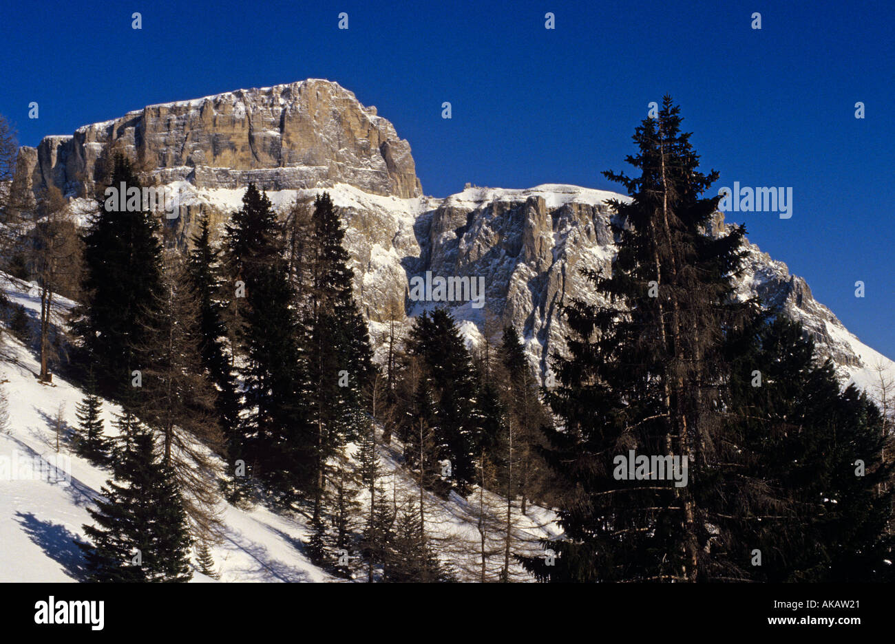 Inverno nelle Dolomiti Italia Foto Stock