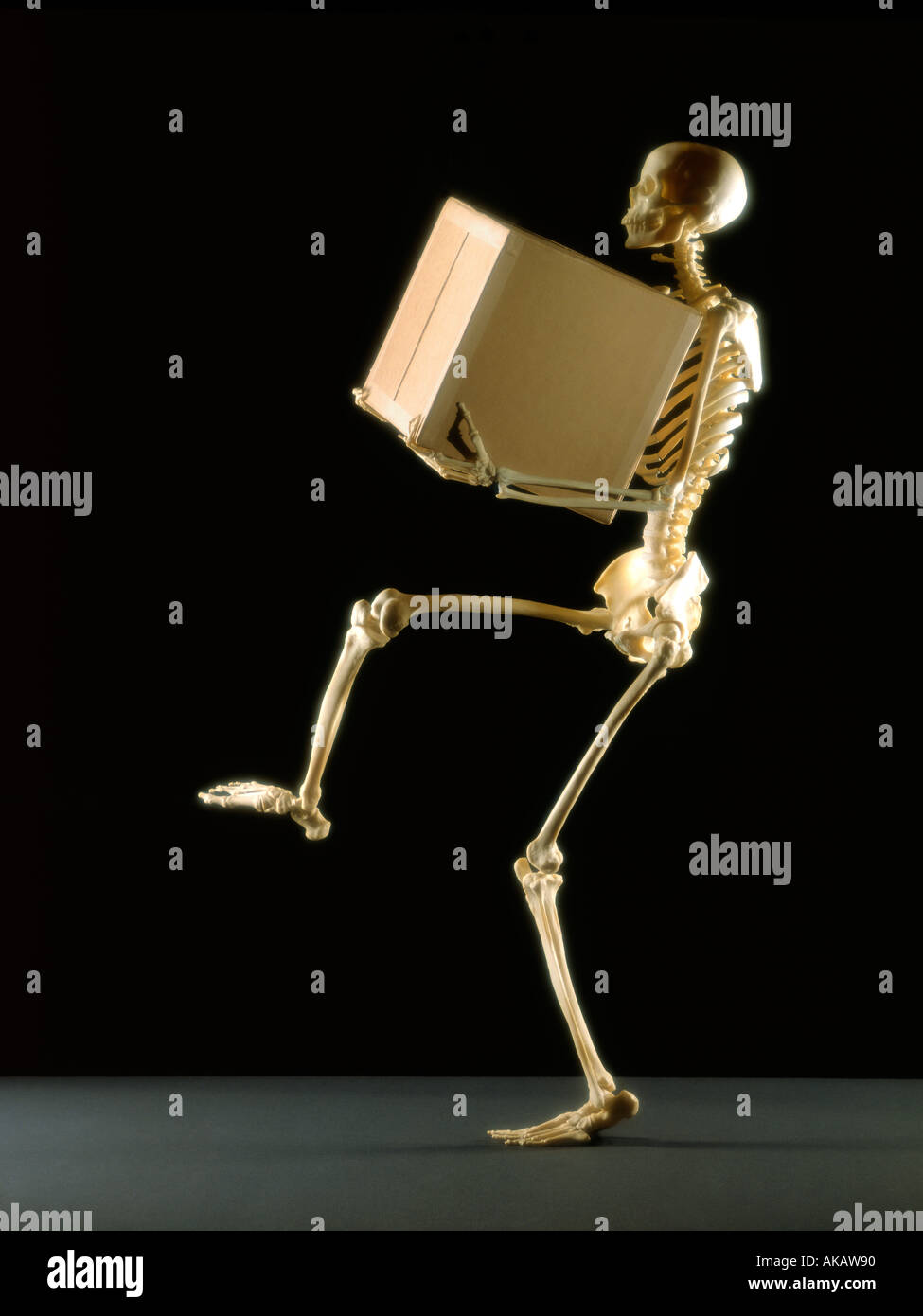 Lo scheletro di sollevamento scatola di grandi dimensioni su sfondo nero Foto Stock