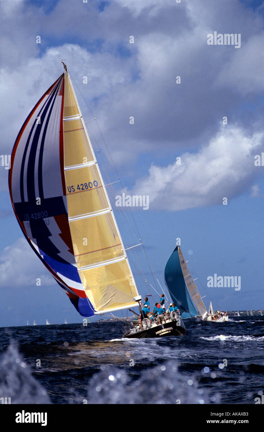 Yacht Racing San Martin - St Maarten Heineken Regatta Foto Stock
