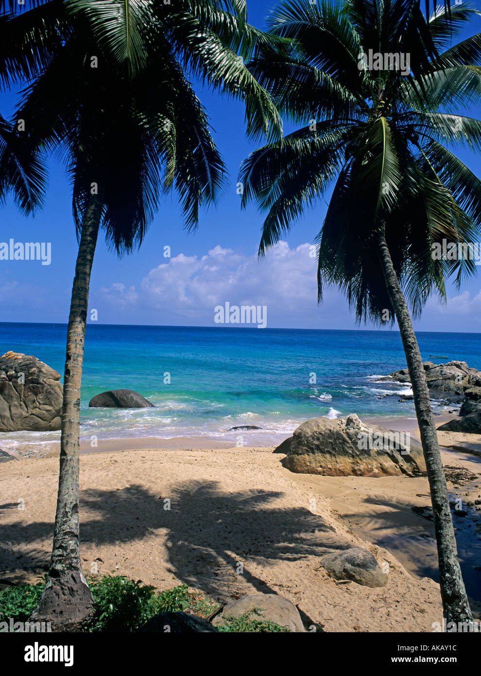 Spiaggia idilliaca e vista mare con palme Seychelles Oceano Indiano Foto Stock