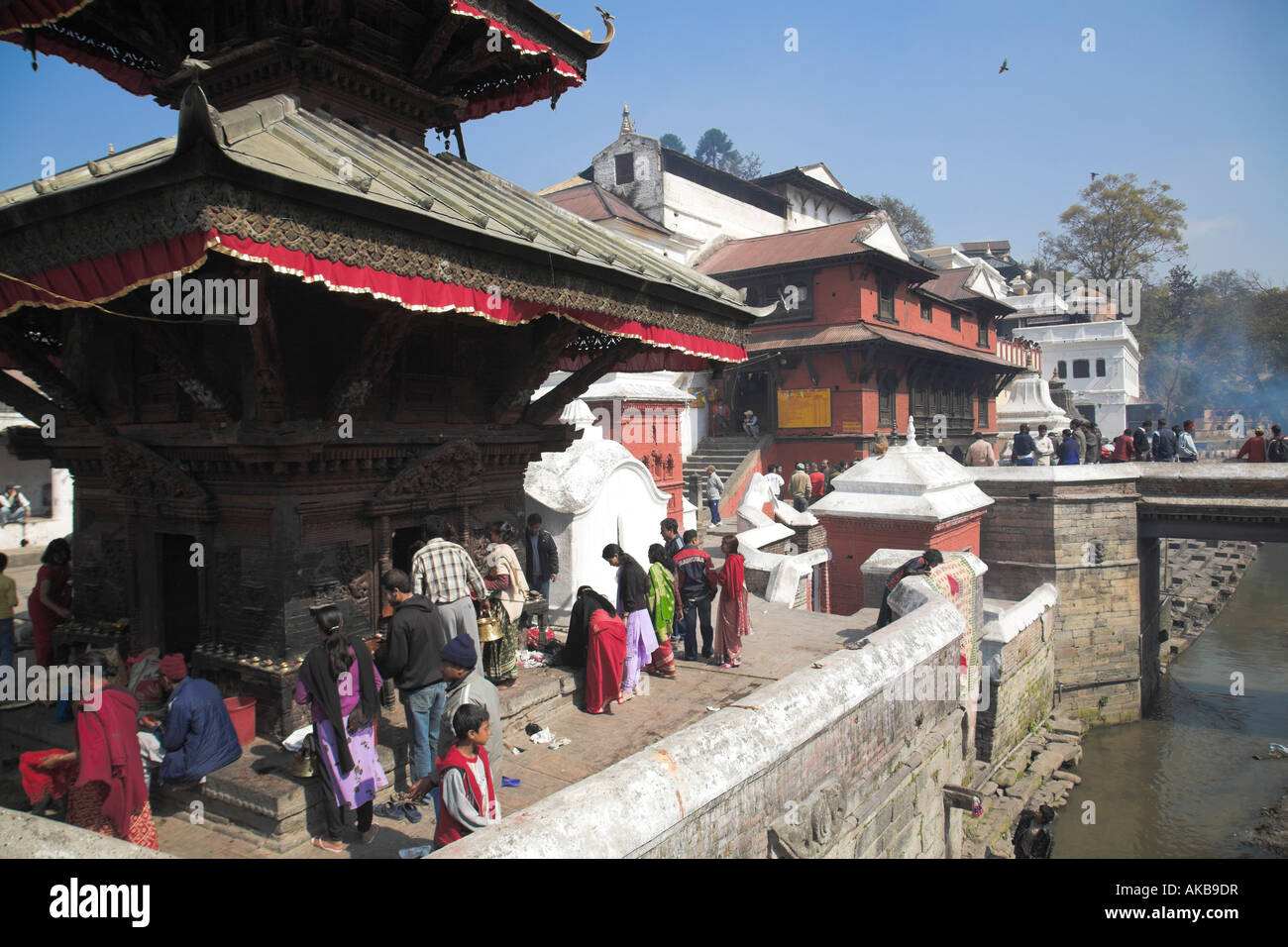 Il Nepal, Kathmandu, il tempio di Pashupatinath, pellegrini al festival Shivaratri Foto Stock