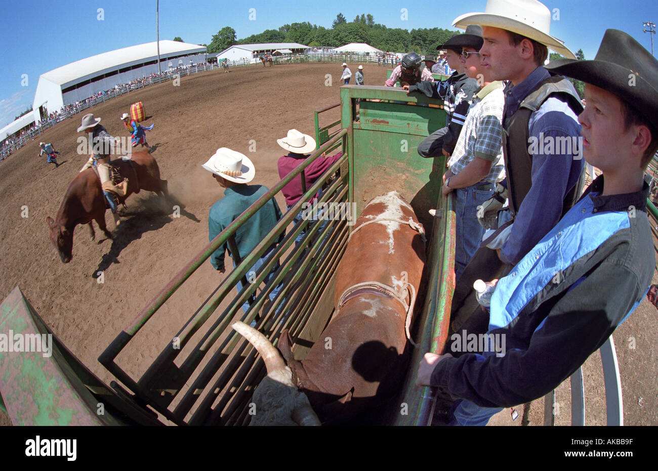 Rodeo al Polk County Fair di Rickreall Oregon Foto Stock