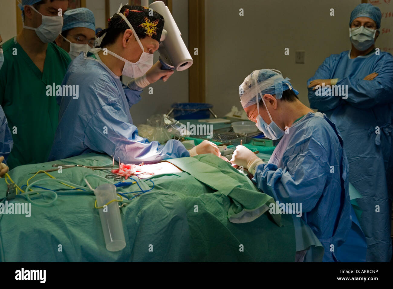 Orecchio BAPRAS chirurgia di ricostruzione Edinburgh Foto Stock