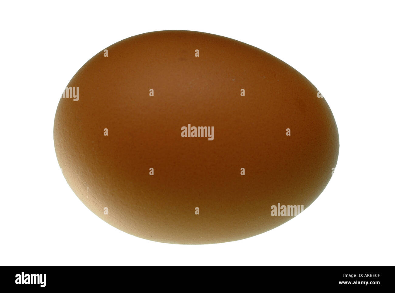 uovo Foto Stock