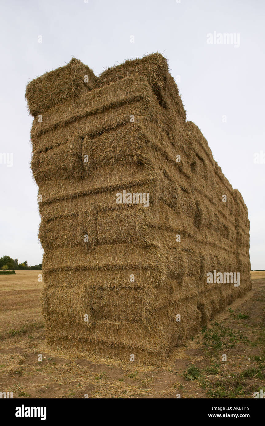 Stack di fieno in Suffolk Foto Stock