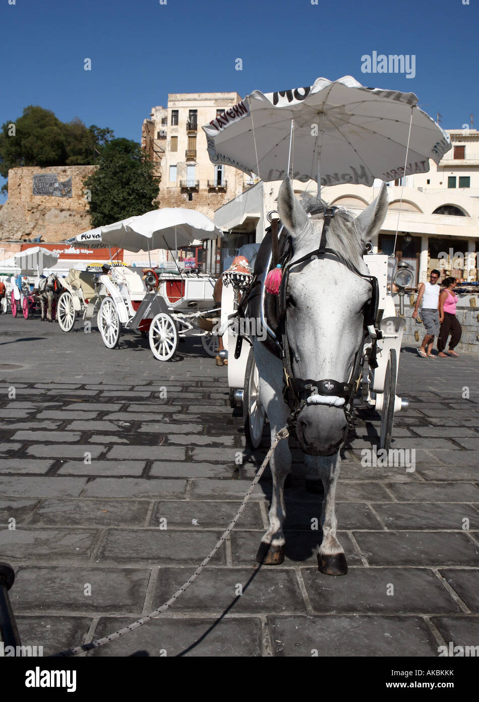 Un rango di cavallo e i taxi sul porto di Hania Creta offrono escursioni popolari attorno all'antica città vecchia. Foto Stock