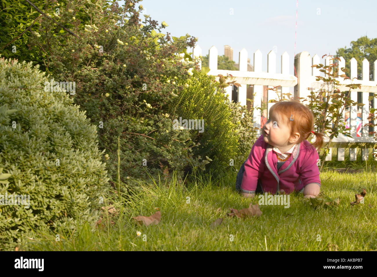 Il bambino gattona in un giardino Foto Stock