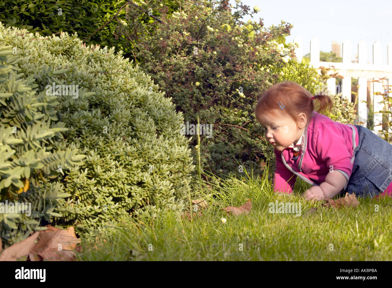 Il bambino gattona in un giardino Foto Stock