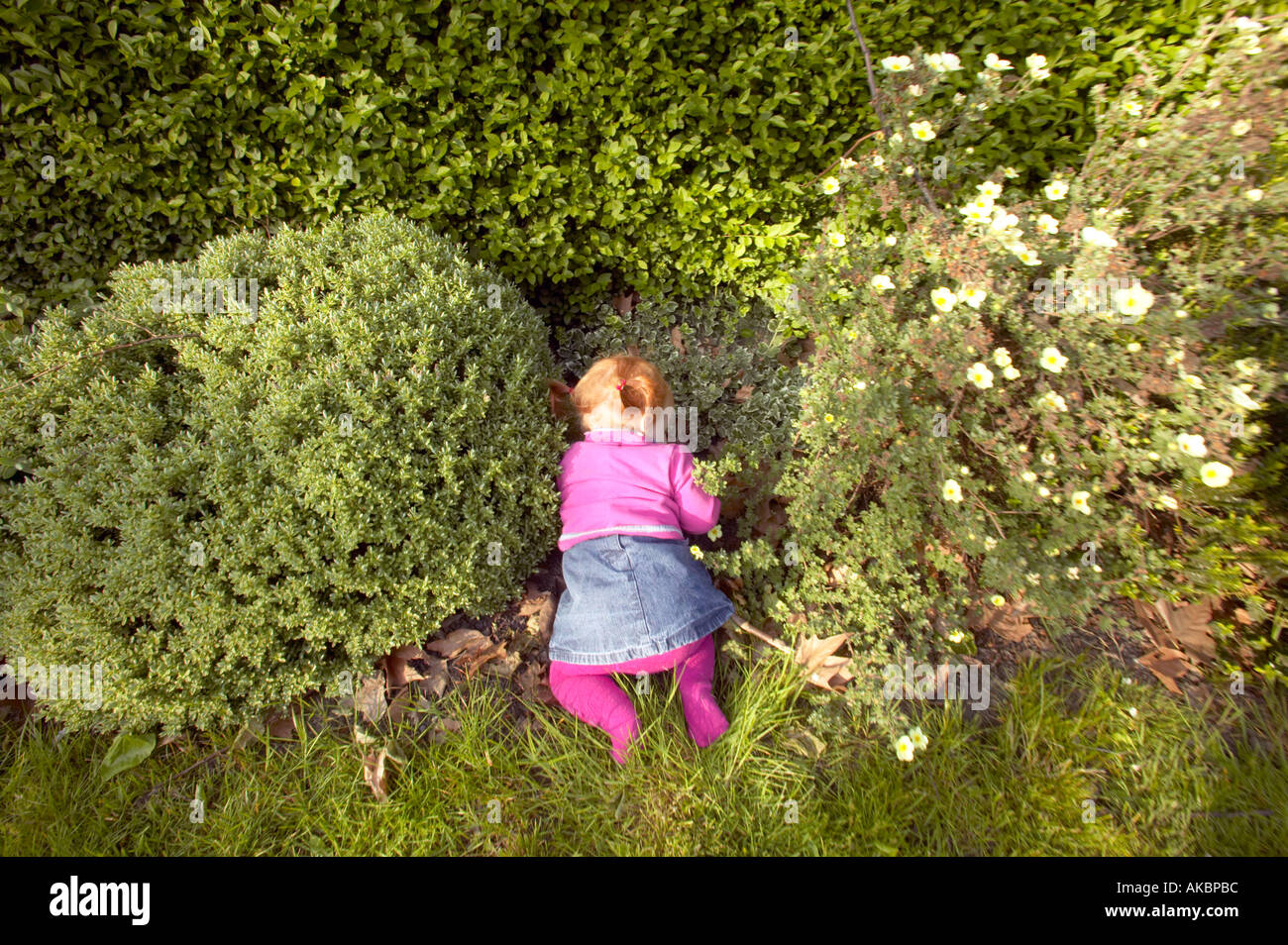 Il bambino gattona in un giardino Foto Stock