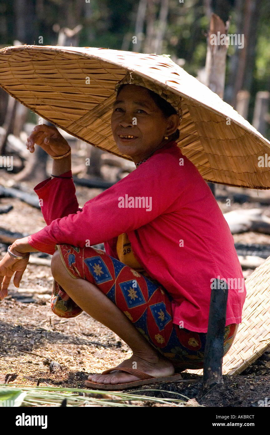 Una matrona Dayak - oro denti un segno della ricchezza relativa riposa nella paddyfileds durante un riso piantagione cerimonia Foto Stock