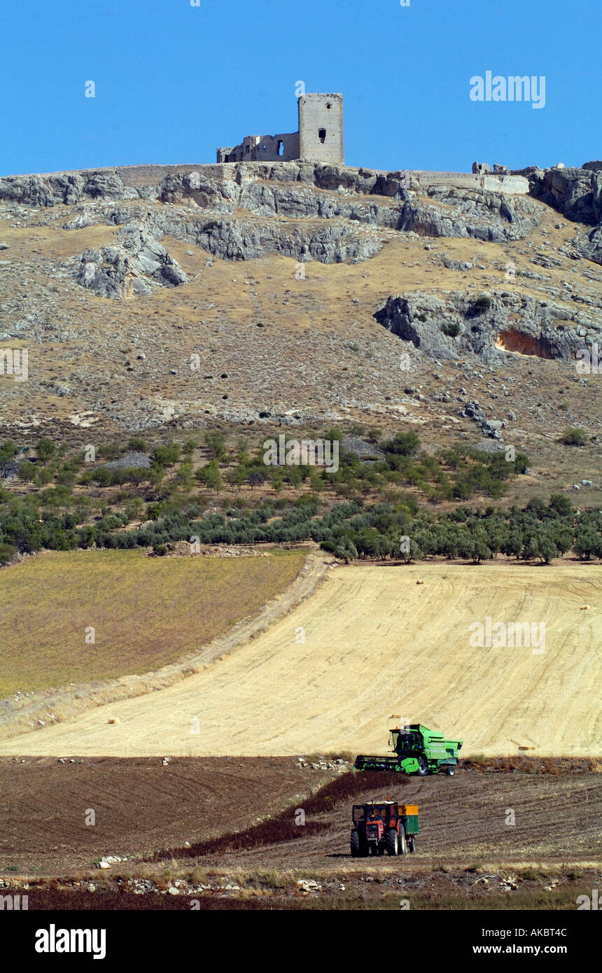 Agricoltura & Castello di Teba (Teba la Vieja) Andalusia Foto Stock