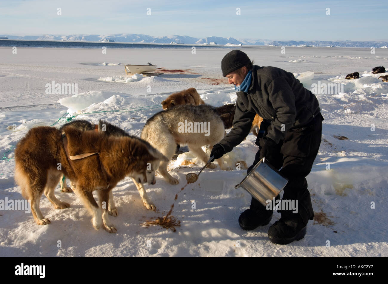Qaanaaq Groenlandia Aprile 2006, isola Herbert Foto Stock