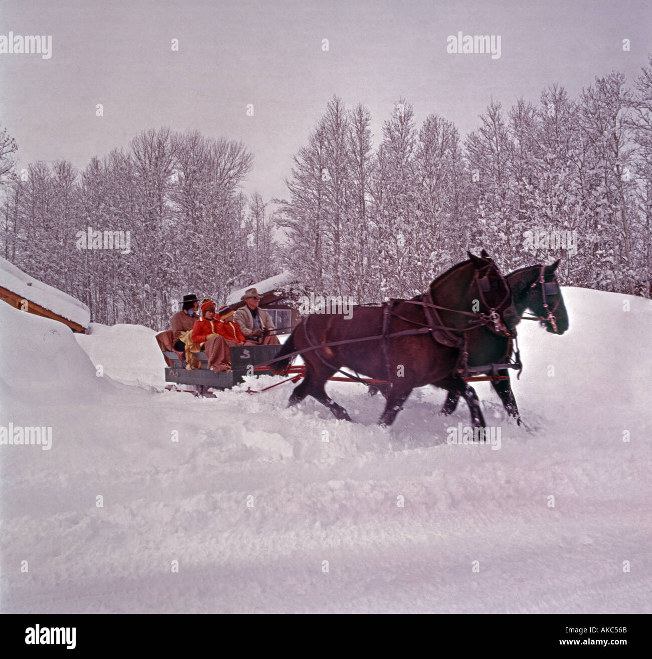 In slitta a cavallo in una scena invernale una gita di famiglia nella neve Foto Stock