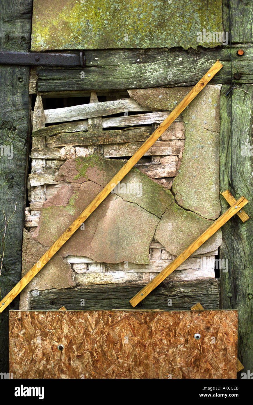 Dettaglio del graticcio DAUB E CHE NECESSITANO DI UNA RIPARAZIONE SU UN 15C HEREFORDSHIRE FIENILE REGNO UNITO Foto Stock