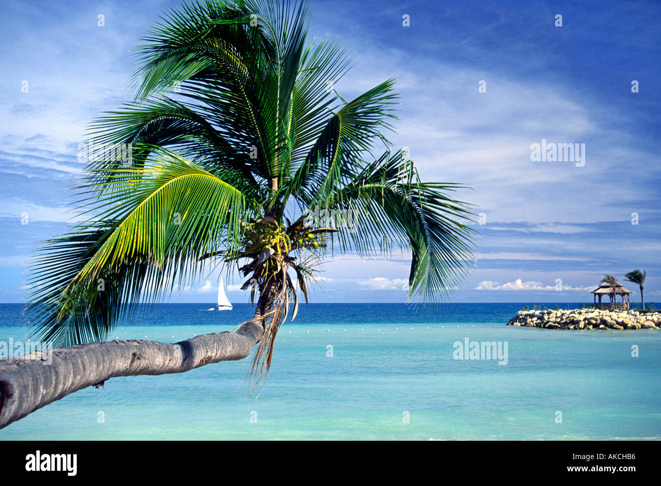 Un albero di palma, una barca a vela e il mare dei caraibi lungo la costa di Antigua. Foto Stock