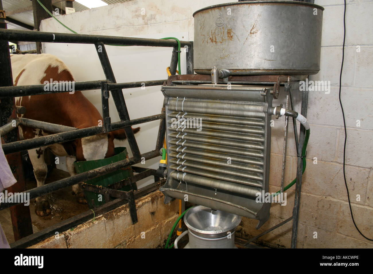 Macchina di mungitura a un tempio nel nord di Londra Foto Stock