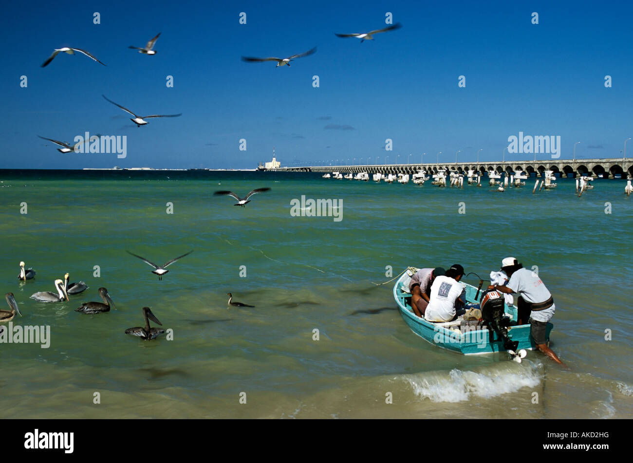 Barca da pesca, i pescatori, pietra pier, gabbiani nel Golfo del Messico in Progreso Yucatan Messico Foto Stock