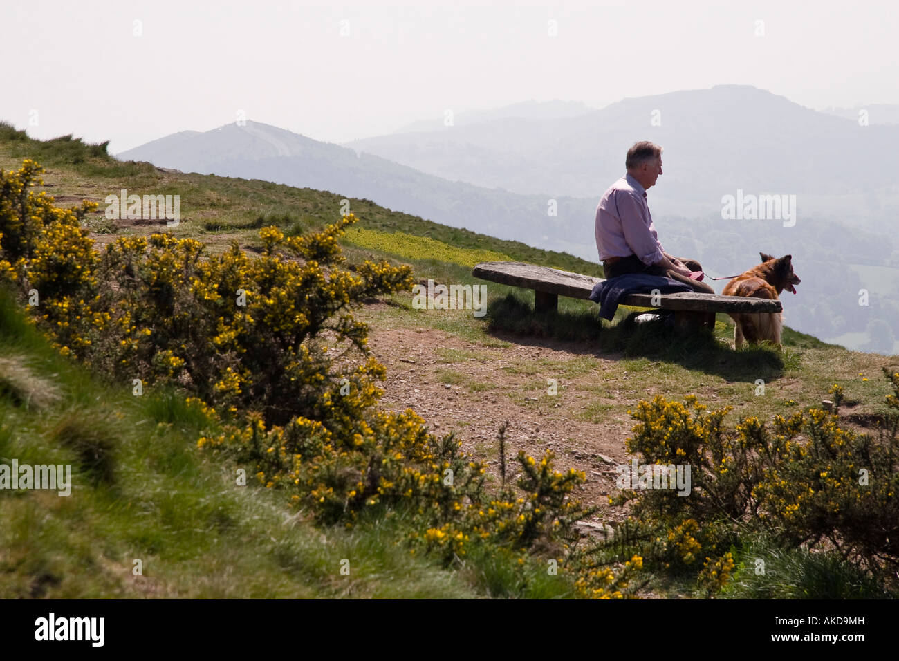 L'uomo con il suo cane ammirando la vista da una posizione tranquilla a Worcestershire Beacon Malvern Hills Worcestershire Inghilterra Foto Stock