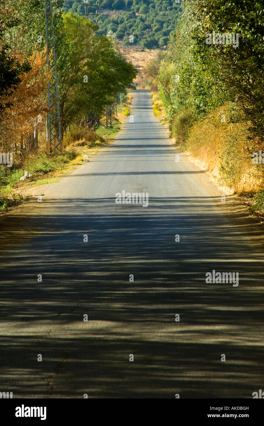 Strada vuota nella valle Beqaa Libano Medio Oriente Foto Stock