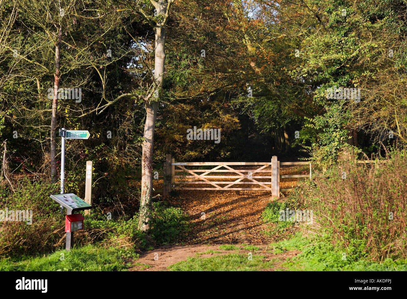 Il sentiero e il cancello di ingresso di un legno. Foto Stock