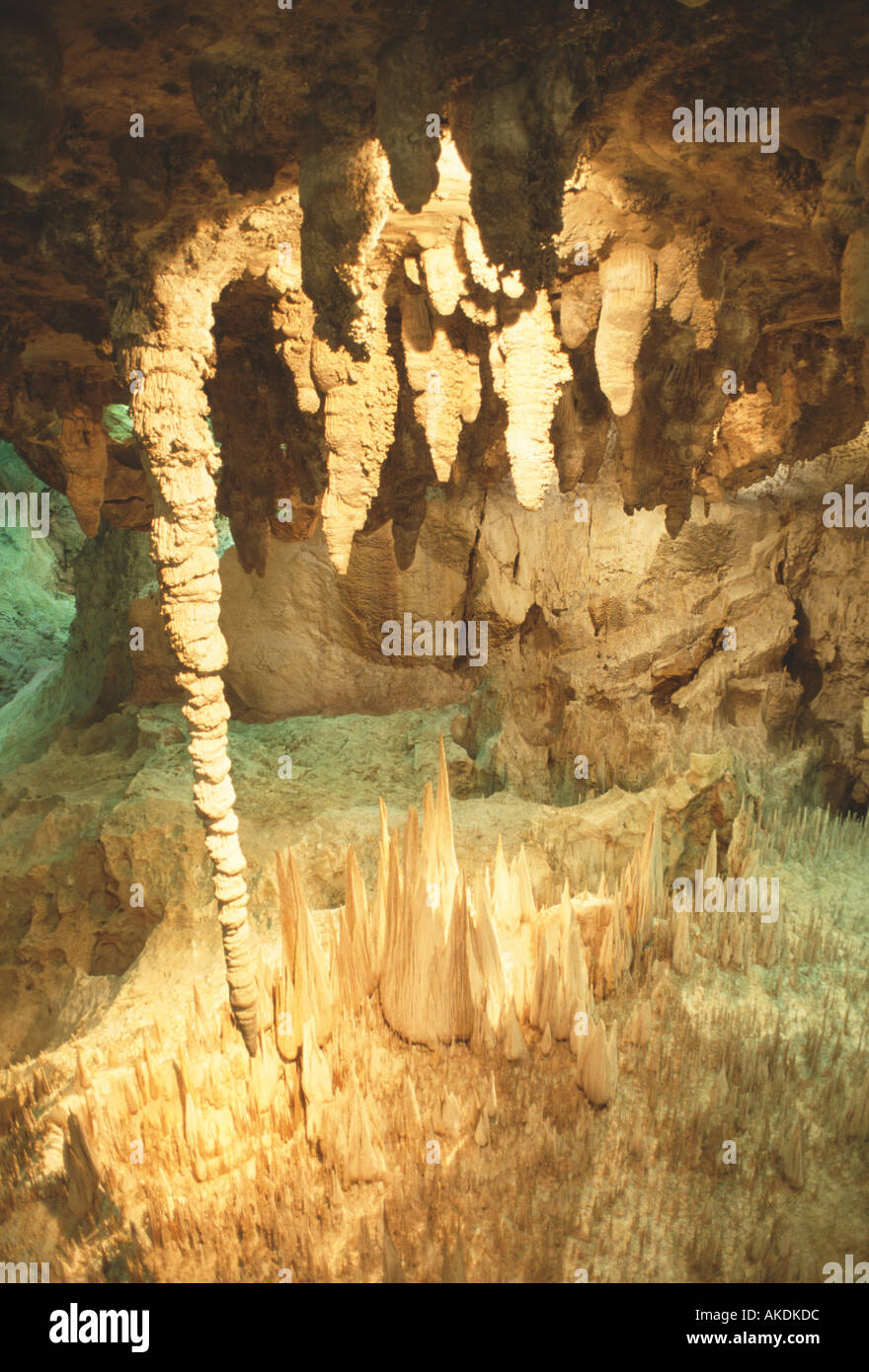 Stalattiti di Carlsbad Caverns NEW MEXICO Foto Stock