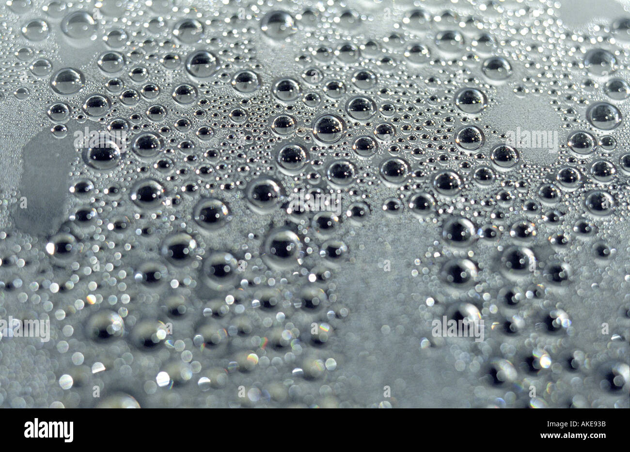 Le goccioline d'acqua condensate su vetro Foto Stock